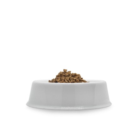 kethaus_porcelanova_miska_pro_kocky